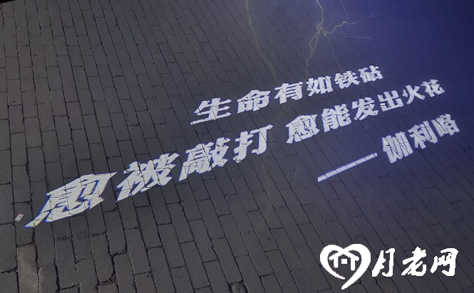 月老網相親